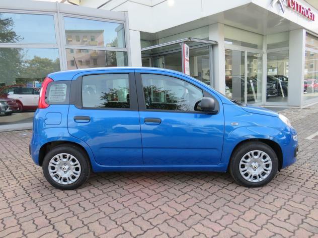 FIAT Pandina 1.0 FireFly 65cv S&S 6m Hybrid Icon ( 5 POSTI ) - Foto 2