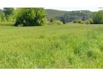 Terreno agricolo in vendita a Vecchiano 16100 mq  Rif: 1333916