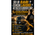 Cercasi autista bilico