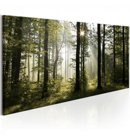 Quadro Alberi Secolari Cm.70X35 E 120X60 ARREDALACASA