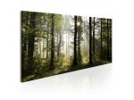 Quadro Alberi Secolari Cm.70X35 E 120X60 ARREDALACASA