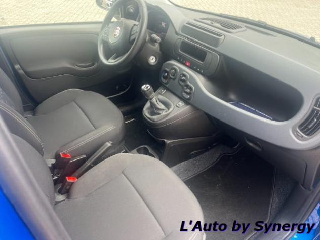 FIAT Pandina 1.0 FireFly 65 CV Hybrid Pop KM0 rif. 23899685 - Foto 9
