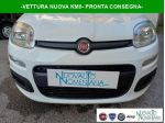 FIAT Panda Pandina 1.0 FireFly S&S Hybrid Pop Vettura Nuova rif. 24036050
