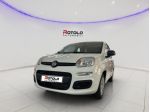FIAT Panda 3ª serie Panda 1.0 FireFly S&S Hybrid Pop