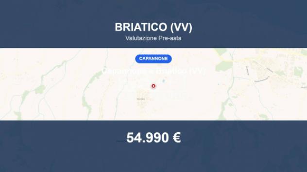 Immobile in asta di 3190 m² in vendita a Briatico
