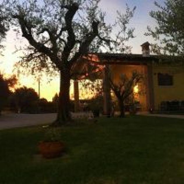 Agricampeggio Terra e Sogni - Foto 3