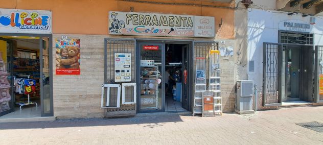 Cedesi attivita