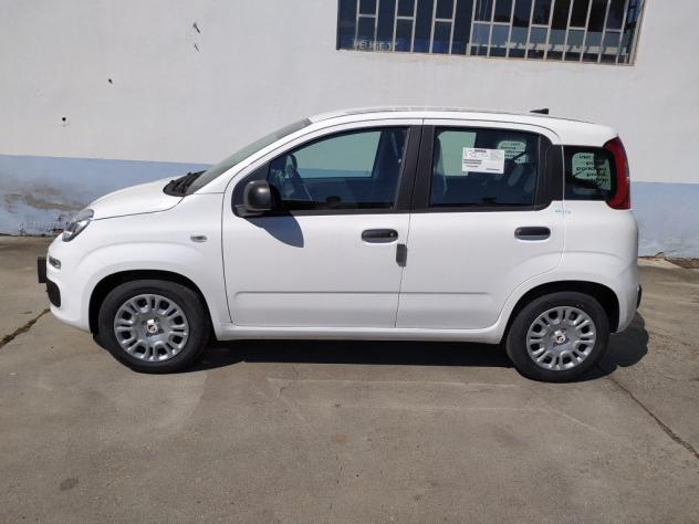 FIAT Pandina 65 hybrid IconCBC 5