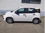 FIAT Pandina 65 hybrid IconCBC 5