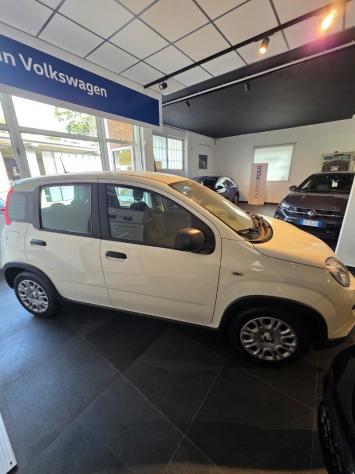 FIAT Panda 3ª serie Panda 1.0 FireFly S&S Hybrid Pandina - Foto 3