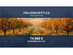 Immobile in asta di 5850 m² in vendita a Collesalvetti