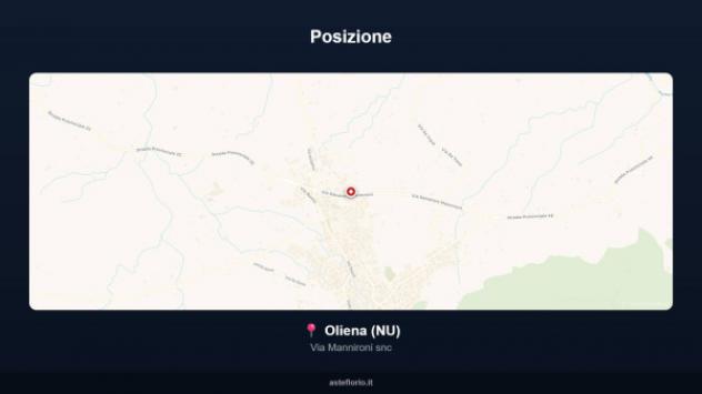Immobile in asta di 882 m² in vendita a Oliena - Foto 10