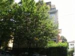 Vendita appartamento zona Piazzale Savonarola Padova