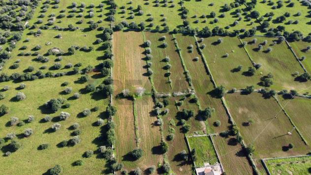 Casa Indipendente in vendita a Scicli, Scicli - Foto 5