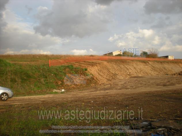 IMMOBILI-ALTRA CATEGORIA-Via Vigne Nuove a confine con S.P. di Ardea , Strada Vecchia di Nettuno - Foto 7