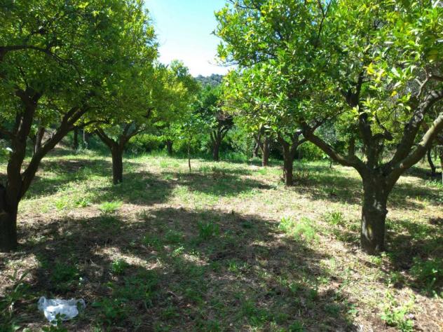 Frutteto in vendita a Nocera Inferiore - Foto 4