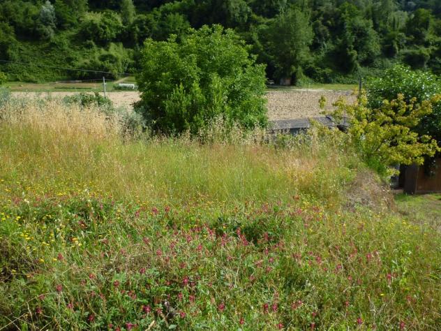 Terreno agricolo in vendita a Chiecinella - Palaia 9000 mq Rif: 455004 - Foto 4