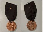 medaglia commemorativa della Battaglia delle Alpi 1940.