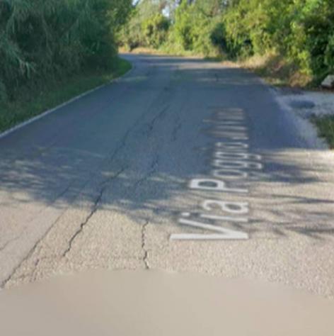 Immobile in asta di 501 m² in vendita a Fauglia - Foto 7