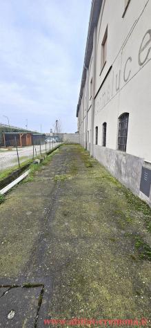 In fregio alla tangenziale!!! - Foto 2