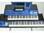Ritiro Minimoog - Polymoog - Yamaha CS 80 - Organi Elettronici - Computer Atari.