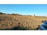 Terreno agricolo in Bellaria-Igea Marina