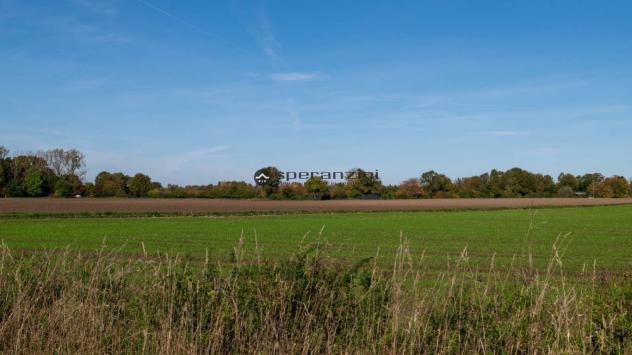 CENTINAROLA: Fano - centinarola inc ontesto prettamente residenziale, attorniato da una zona verde e ben servita, proponiamo in vendita lotto di terre - Foto 8