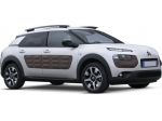 MUSATA FRONTALE COMPLETO CITREN C4 CACTUS DAL 2014 IN POI