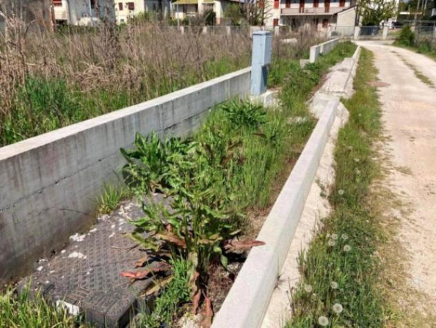 Immobile in asta di 5791 m² in vendita a Cittadella - Foto 11