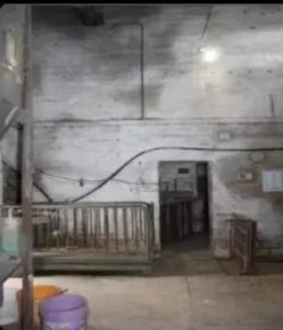 Immobile in asta di 1055 m² in vendita a Meldola - Foto 18
