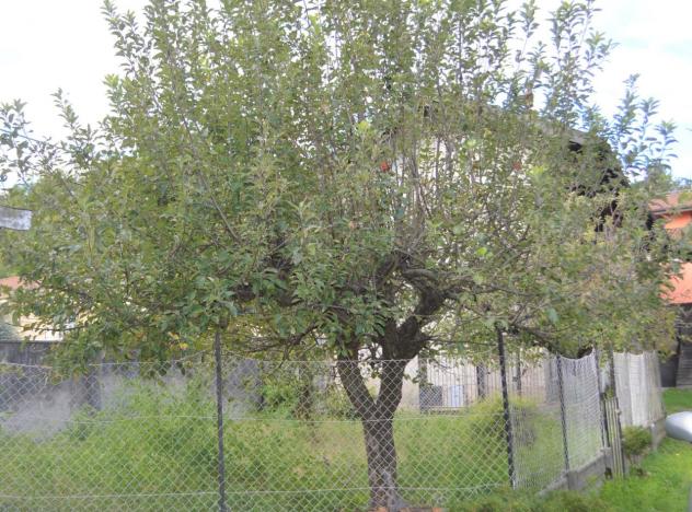 Terratetto in vendita a Bogogno - Foto 2