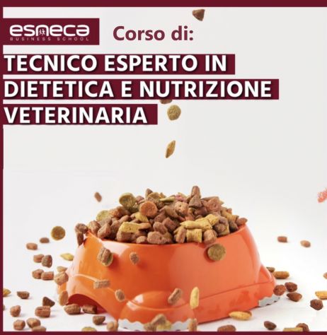 Cerco collaboratore Motivato, Amante degli Animali e del loro Benessere.
