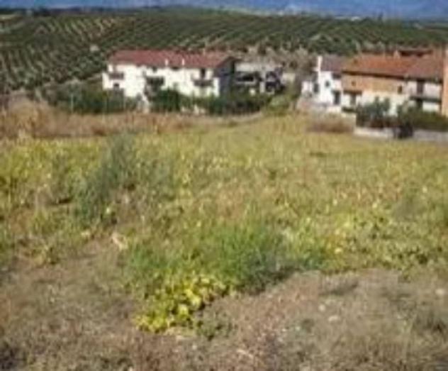 Immobile in asta di 2831 m² in vendita a Terranova da Sibari - Foto 3