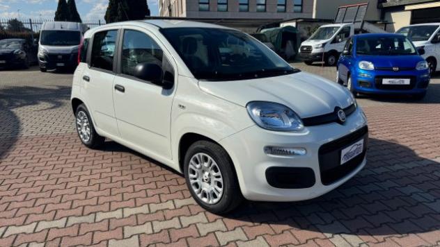 FIAT Pandina 1.0 FireFly Hybrid 65cv POP KMO rif. 23669471