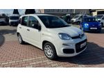 FIAT Pandina 1.0 FireFly Hybrid 65cv POP KMO  rif. 23669471