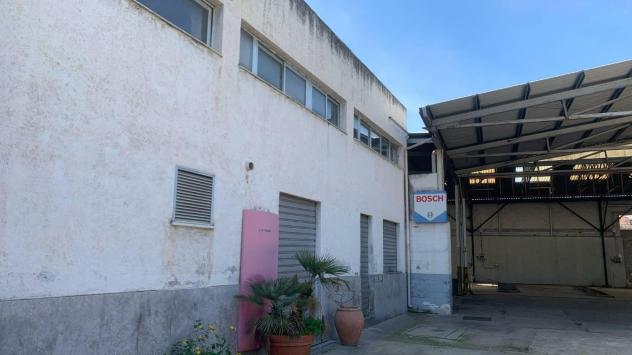 Capannone Industriale - Palermo . Rif.: 33203