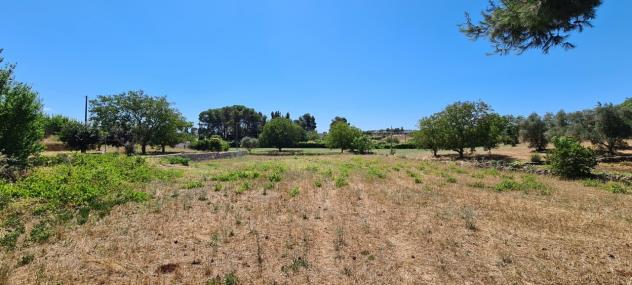 Villa in vendita a Martina Franca - Foto 3