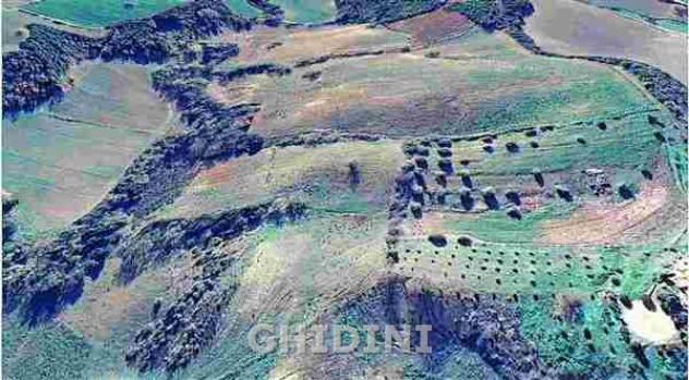 TERRENO AGRICOLO di 1 vani e di 1 mq (CAMPAGNATICO - CENTRO) rif. 2511.227M