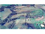 TERRENO AGRICOLO di 1 vani e di 1 mq (CAMPAGNATICO - CENTRO) rif. 2511.227M