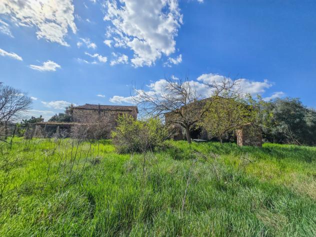 Casale in vendita a Civitella Paganico - Foto 3