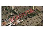 Immobile in asta di 800 m² in vendita a Valderice
