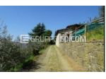 Terreno in vendita a Villongo - Rif. 3563575