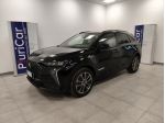 DS DS 7 BlueHDi 130 auto Esprit De Voyage Pelle Cruise 19“
