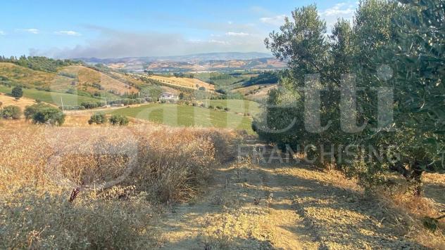 Terreno Agricolo - Roseto degli Abruzzi . Rif.: Cod. rif A132VRG - Foto 9