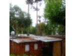 La Pineta