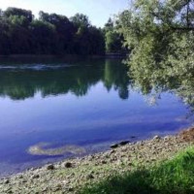 Immobiliare Valle Verde di Faccin Luigi e C. S.a.s. - Foto 3