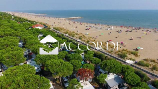 AREA EDIFICABILE di 33000 mq (CAVALLINO TREPORTI) rif. DG008B - Foto 4