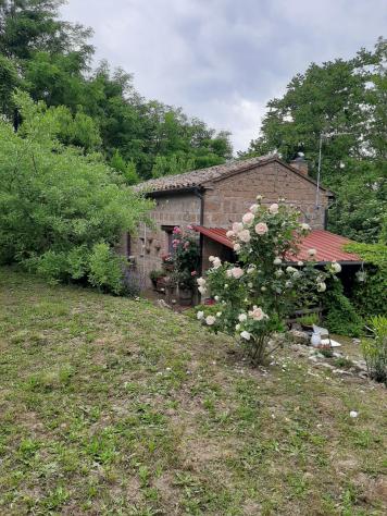 Nella frazione di Osteriola, nel comune di Proceno a pochissimi passi da San Giovanni delle Contee
vendiamo Immobile completamente ristrutturato libe - Foto 3