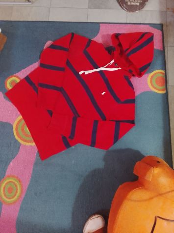 Polo Ralph Lauren hoodie righe