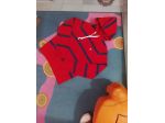 Polo Ralph Lauren hoodie righe